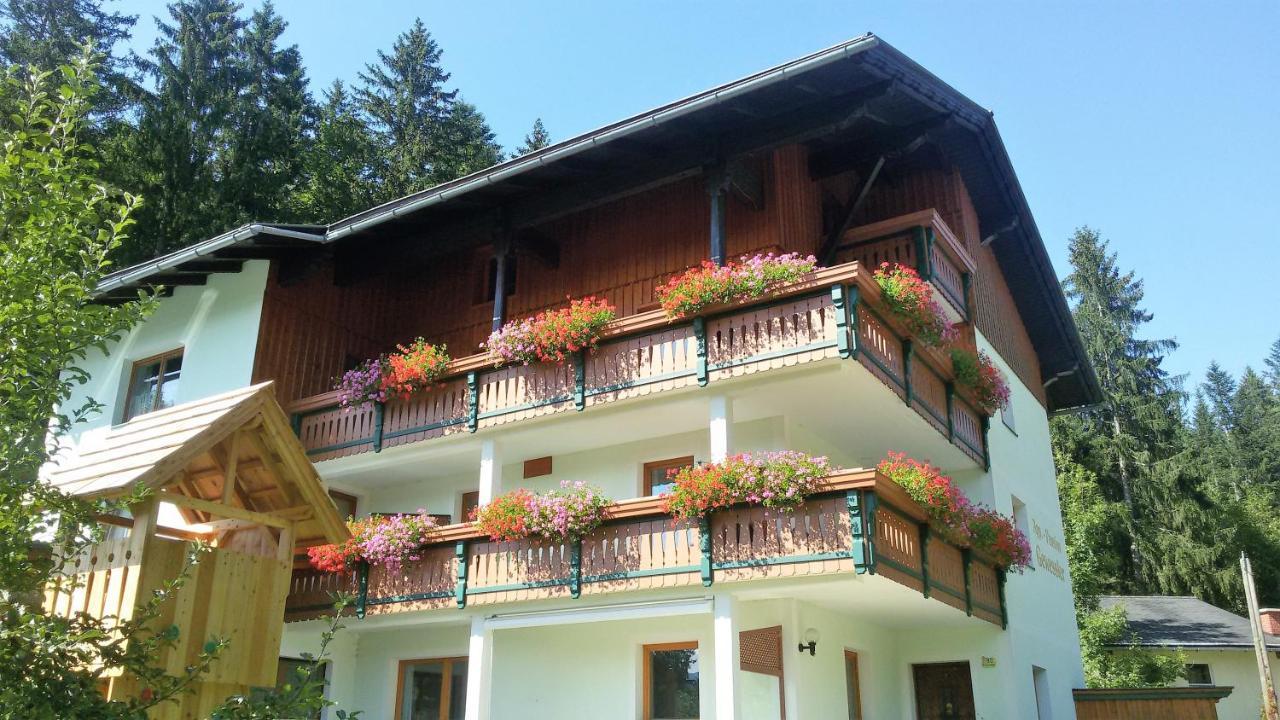 Apartment Appartement-pension Familie Gewessler Bad Mitterndorf