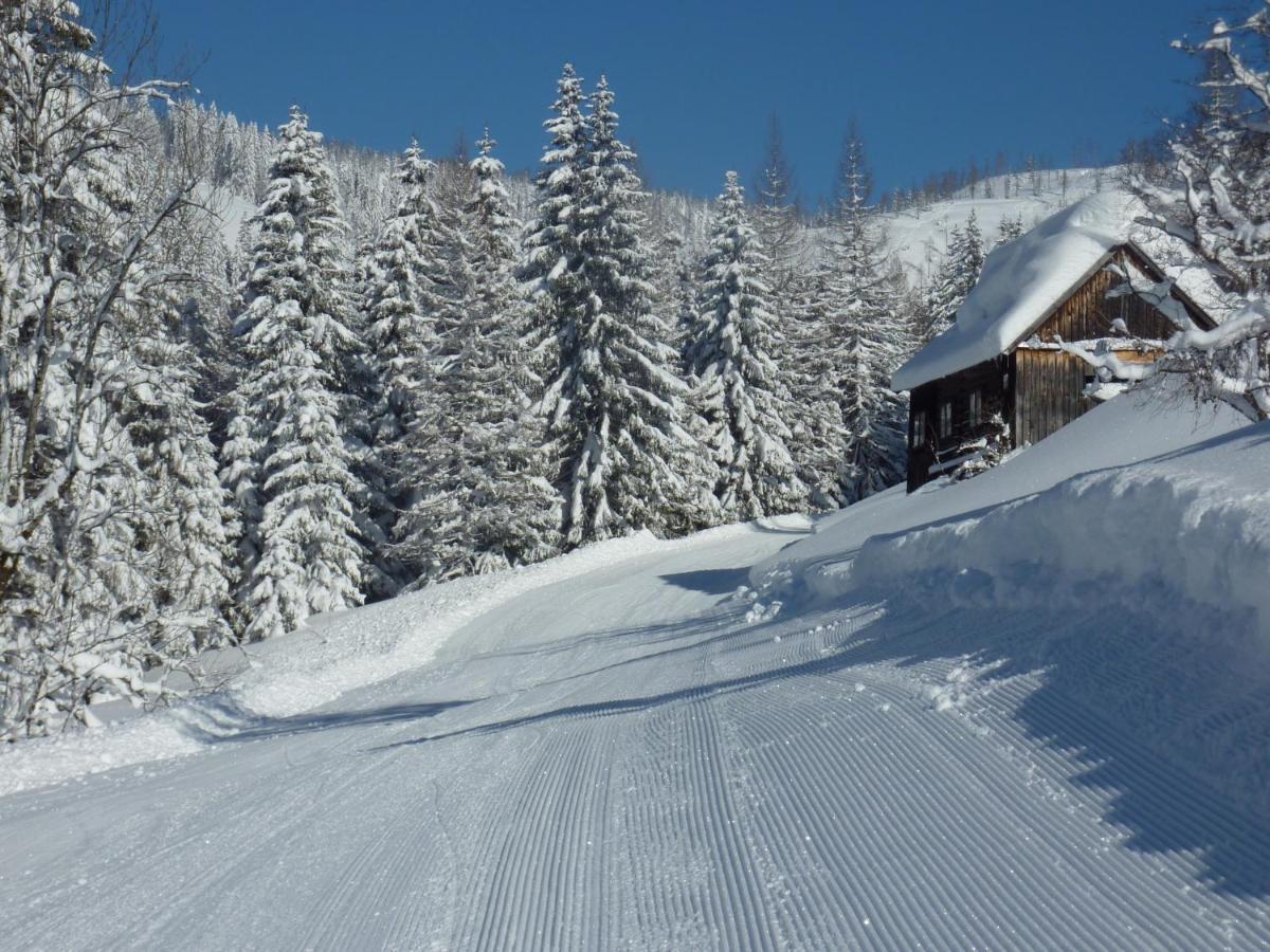 Appartement-pension Familie Gewessler Apartament Bad Mitterndorf