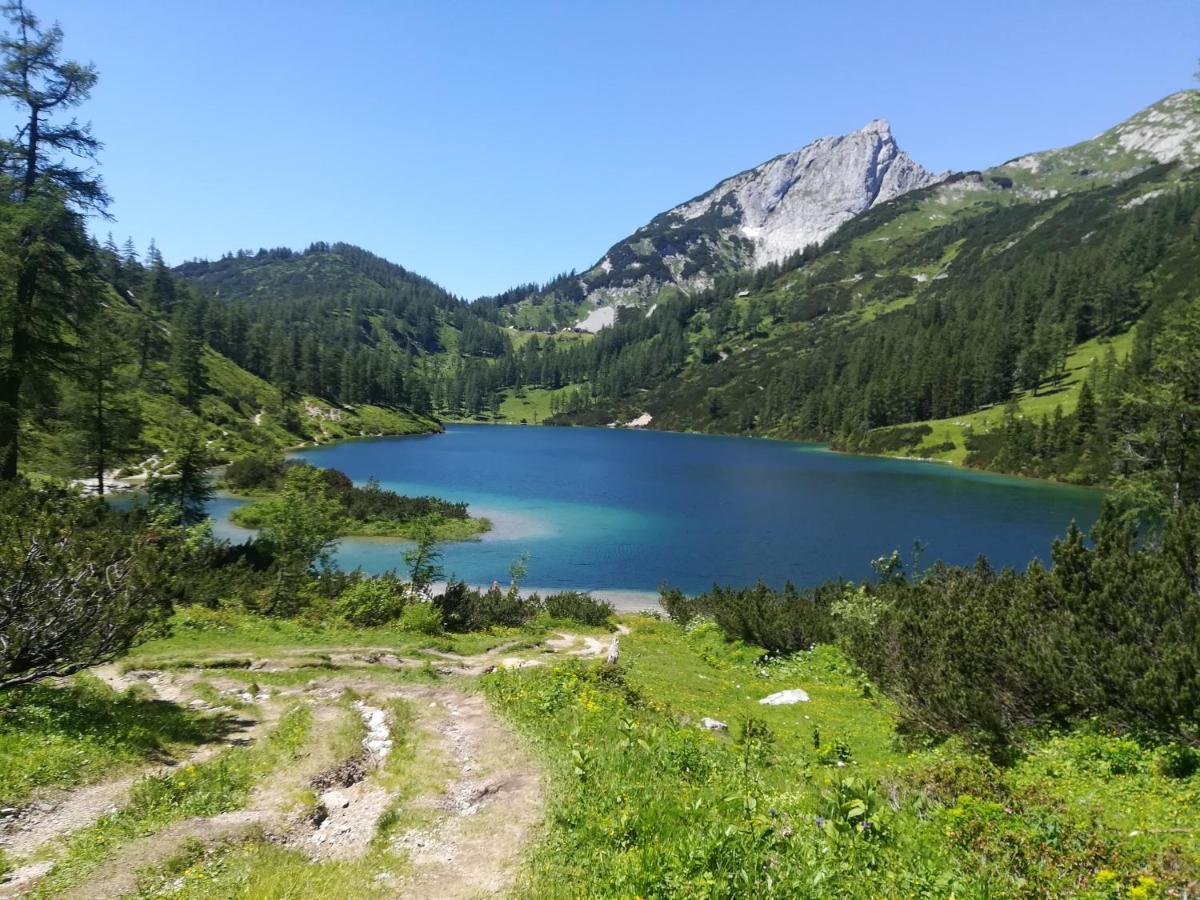 Apartament Appartement-pension Familie Gewessler Bad Mitterndorf